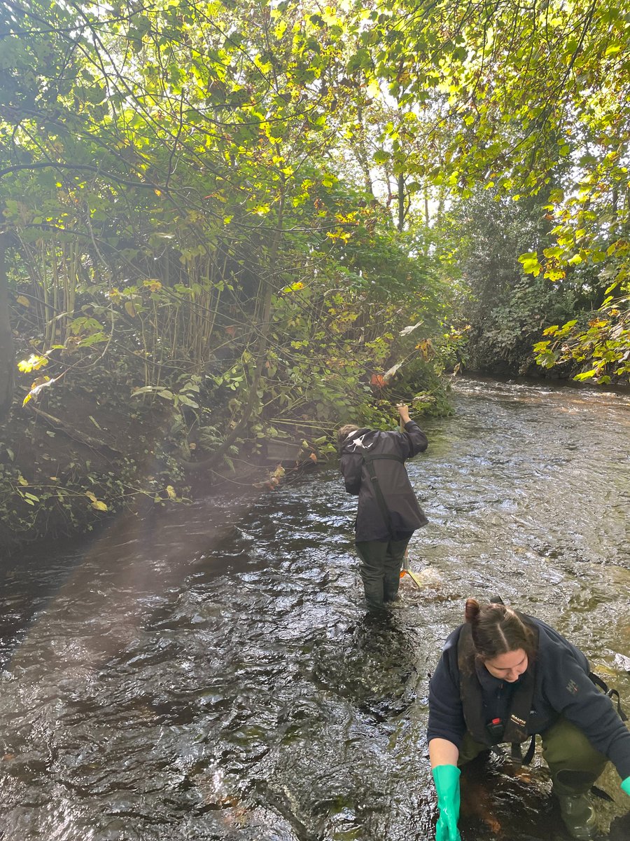 catchmentcare tweet media