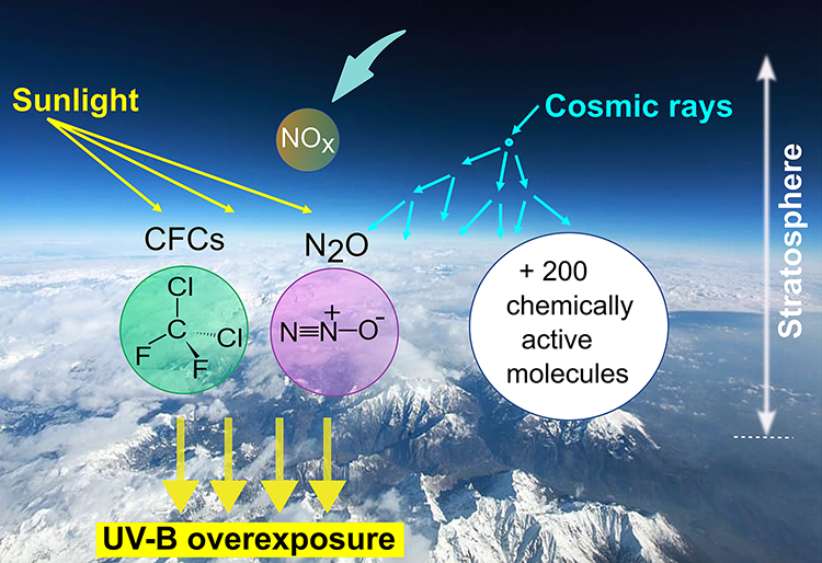 BIRA_IASB's tweet photo. New European project will study the impact of increased #cosmicrays, #uvrays and fragility of #ozoneshield on the biosphere and our health. https://t.co/RJbbIvxYxk
#ozonelayer #solarrays #solarradiation #uvradiation #spacephysics #humanhealth #ecosystems #skincancer https://t.co/j6zUJEQFHa