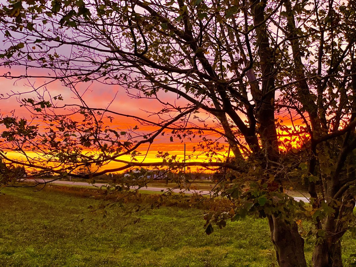 DonCheverie's tweet photo. Fire in the sky… run, boy, run… the Devil’s in the House of the Rising Sun! #EastPoint #PEI #Sunrise https://t.co/S5hXMbwRRQ