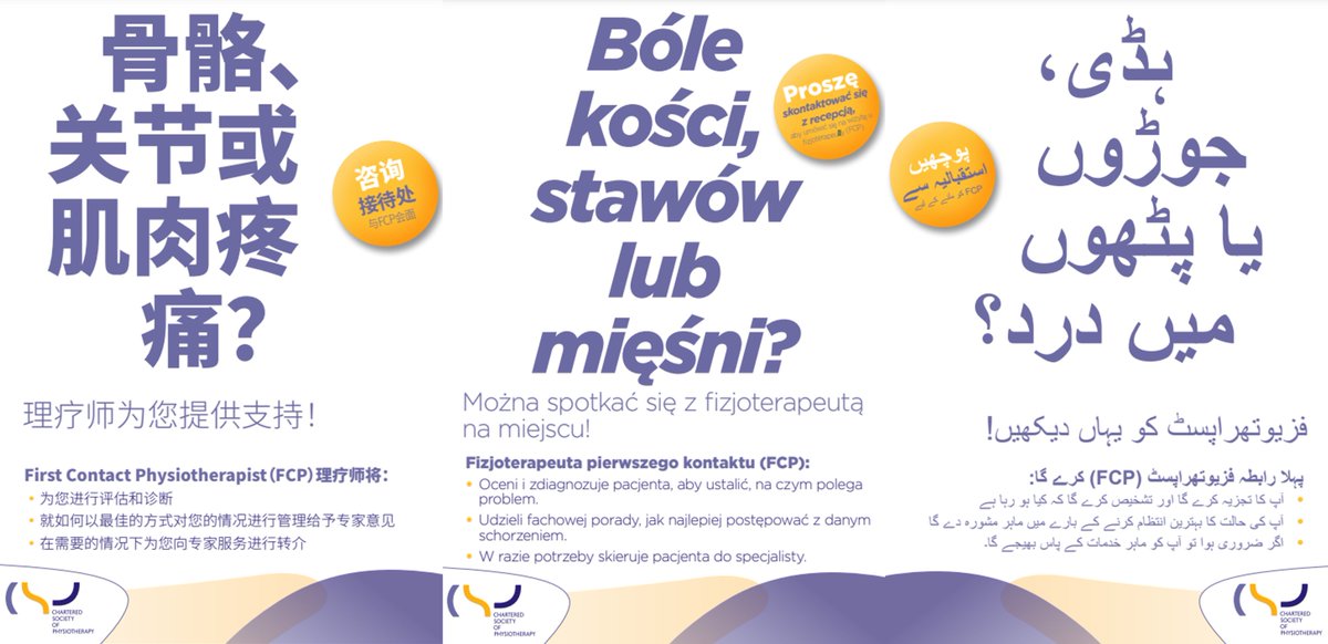 📢 NEW: We’ve updated our #FirstContactPhysio promotional resources to help you showcase your service. 

Included in the package is a new leaflet outlining the role that is translated into 28 languages.

⬇️ Download now: bit.ly/FCP_Resources