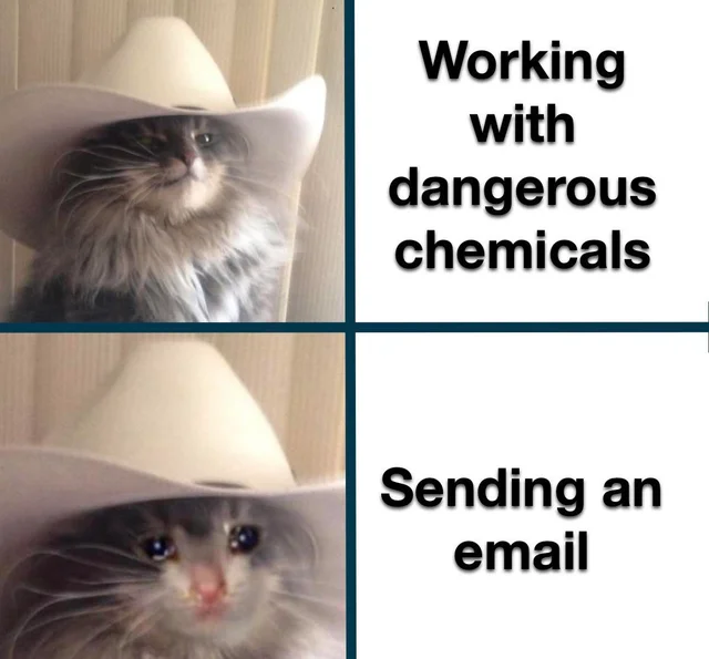 DNA&RNA Universe 𝕏 tweet media