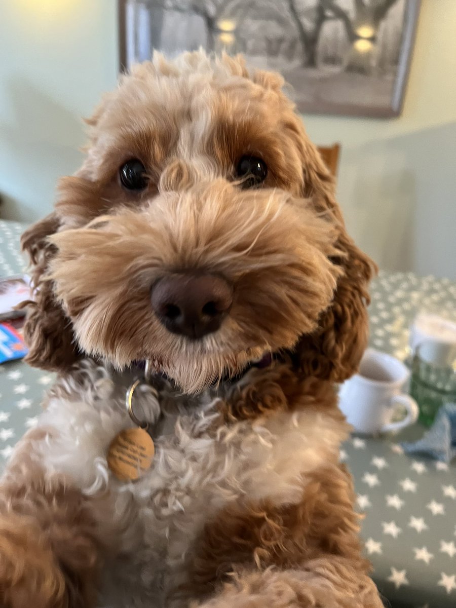 Jess Positive tweet media