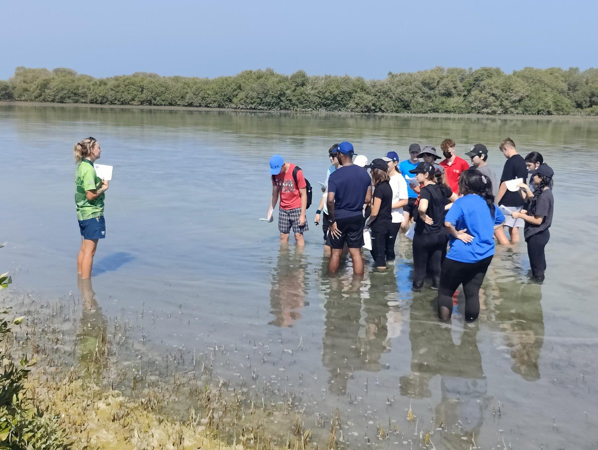 Our Biology students from <a href="/DubaiBritishJP/">DBS Jumeirah Park</a> were out on a field trip in the Mangroves yesterday practicing sampling techniques as part of their GCSE and A Level Courses. <a href="/Taaleem/">Taaleem</a> <a href="/Ecoventureuae/">Ecoventure</a>  #proudlytaaleem #beginsAtDBSJP #fieldtrips #sampling #outdoorfun