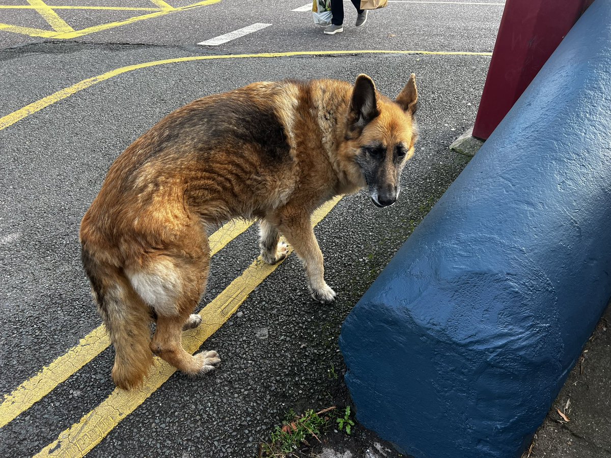 Bean&Leaf - Cork tweet media