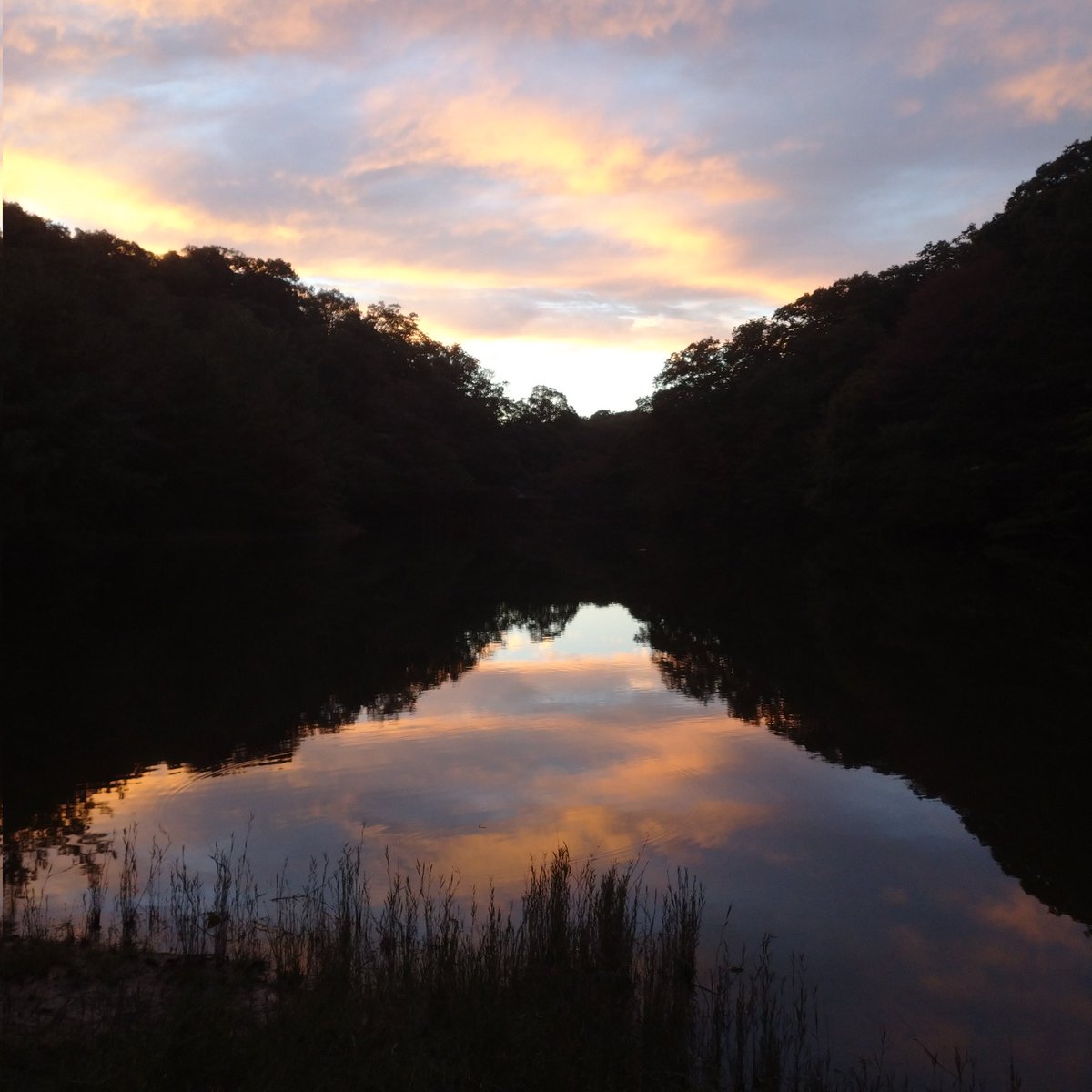 “ちゃっく”いぇーがー tweet media