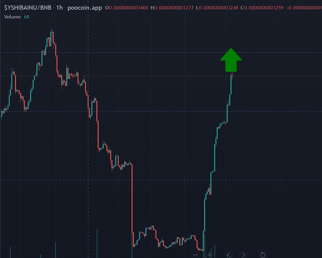 $YSHIBAINU bouncing back!

#yooshibainu