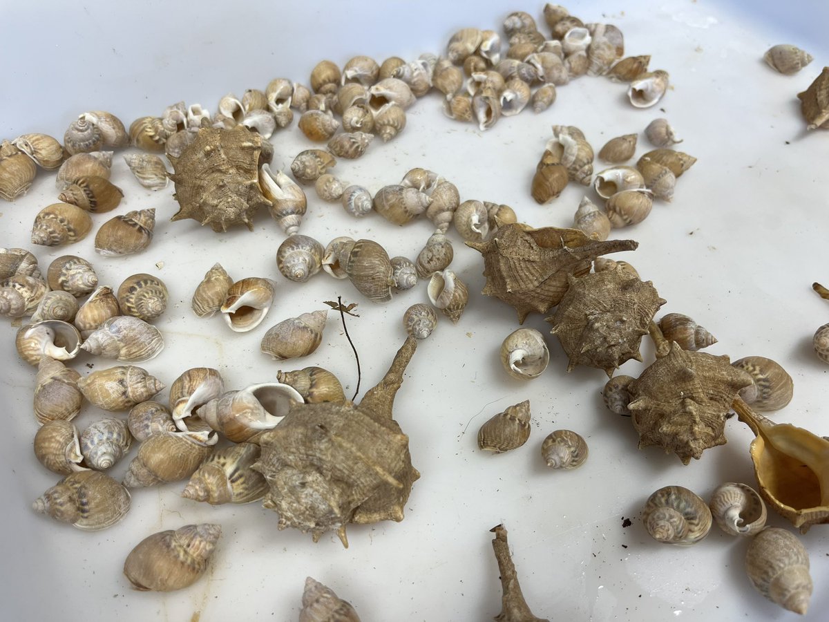 Ravie de découvrir la station marine de l’<a href="/umontpellier/">Université de Montpellier</a> à Sète à l’occasion de la <a href="/FeteScience/">Fête de la science</a>. Une opportunité pour les plus jeunes de comprendre les phénomènes climatiques !

La #FDS2022, c’est + de 3 000 événements partout en France, jusqu’au 17/10👉🏼 fetedelascience.fr