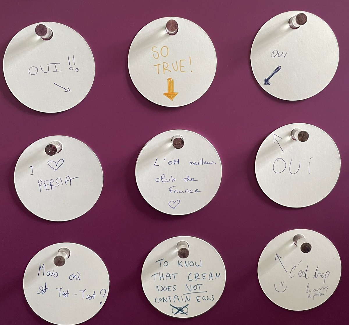 End of <a href="/Phages_fr/">Phages.fr</a> congress, lot of amazing work ! And don’t forget Pasteur tell the truth 😉