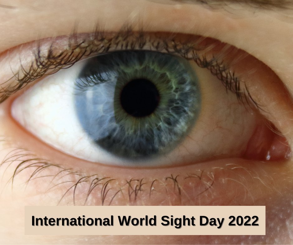 UvexLASERVISION's tweet photo. How to love your eyes? Protecting them. 🖤 

Heute feiern wir den "World Sight Day 2022" mit dem Motto #LoveYourEyes 🧡👁👁

Happy International World Sight Day 2022 from #laservision!

#worldsightday #worldsightday2022 #WelttagdesSehens #lasarsafety #safetyfirst https://t.co/nQlWLuZoDZ