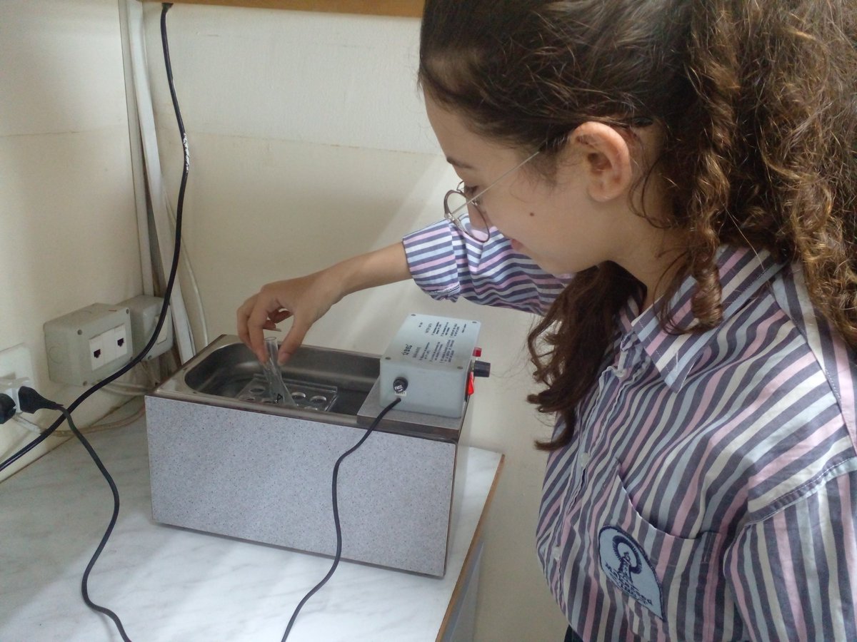 TahaniDandashli's tweet photo. Grade 9 students tested the effect of amylase enzyme on the chemical digestion of starch with both iodine and fehling tests in the Bio Lab. 
@reemnassar
@manar_kanawaty 
@MakassedSaida 
#lab_work https://t.co/8uubySipcz