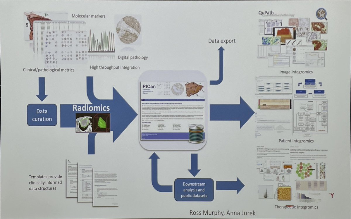 Gerry Hanna (@gerryhanna) on Twitter photo #RadOnc Colleague <a href="/DrSuneil_PCa/">Prof Suneil Jain</a> from <a href="/QUBelfast/">Queen's University Belfast 🎓</a> and <a href="/BelfastTrust/">Belfast Trust</a> updates #TSJCIConference on exciting developments in prostate cancer
Describes the concept of “Integromics” - bringing it all together #RadOnc Colleague <a href="/DrSuneil_PCa/">Prof Suneil Jain</a> from <a href="/QUBelfast/">Queen's University Belfast 🎓</a> and <a href="/BelfastTrust/">Belfast Trust</a> updates #TSJCIConference on exciting developments in prostate cancer
Describes the concept of “Integromics” - bringing it all together