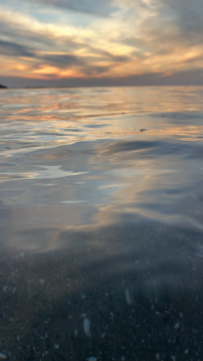 Hawkland tweet media