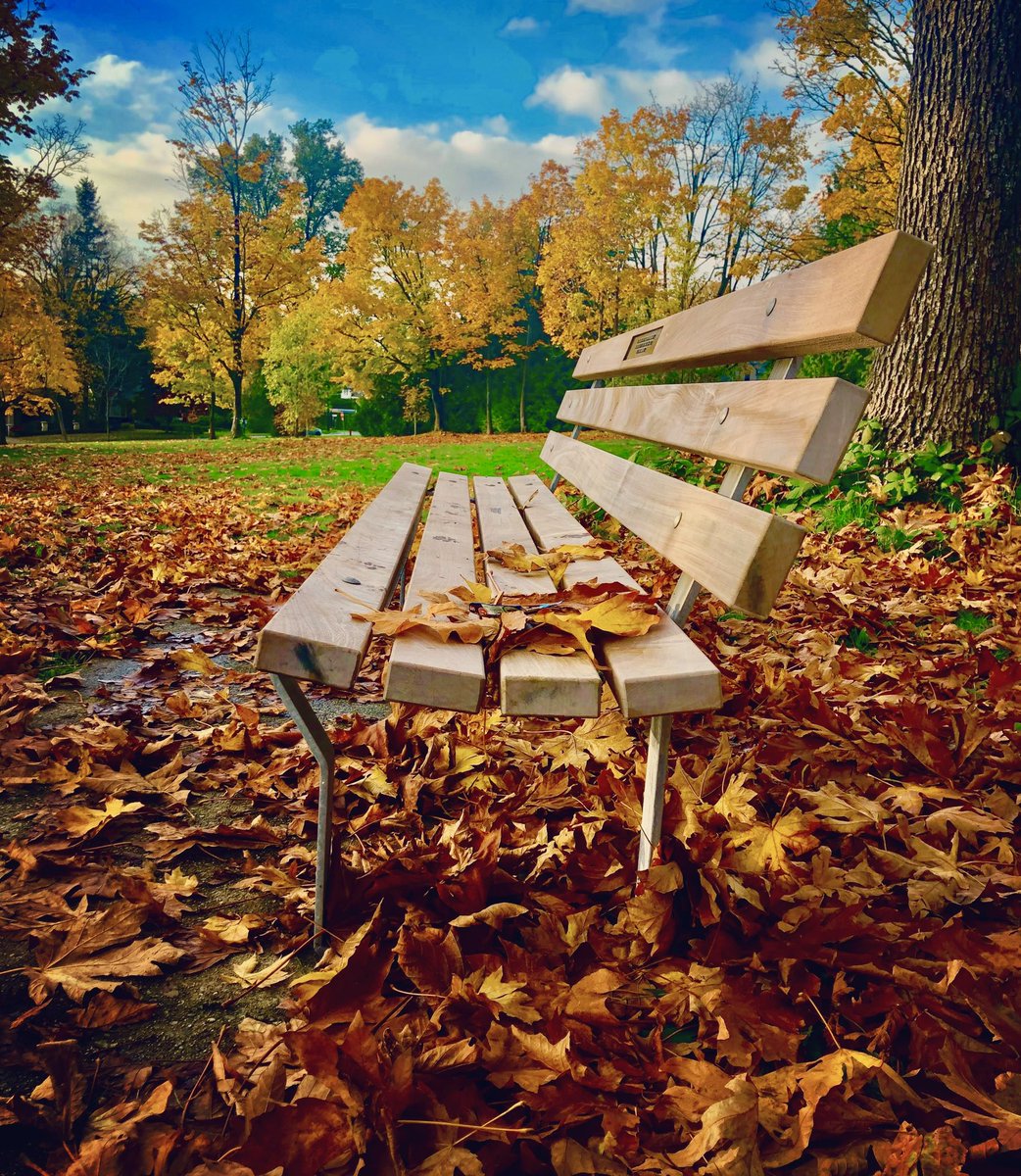 TheWorldEyeSee's tweet photo. The Colorful, Crunchy Season is Upon Us…Happy Thursday Everyone…#theworldaseyeseeit #NaturePhotography #Autumn #capturethemoment #momentsintime #takenothingforgranted #natureappreciation https://t.co/hDtzlWXmgM