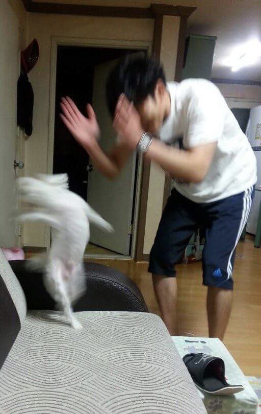 누룽지밥🍚 tweet media