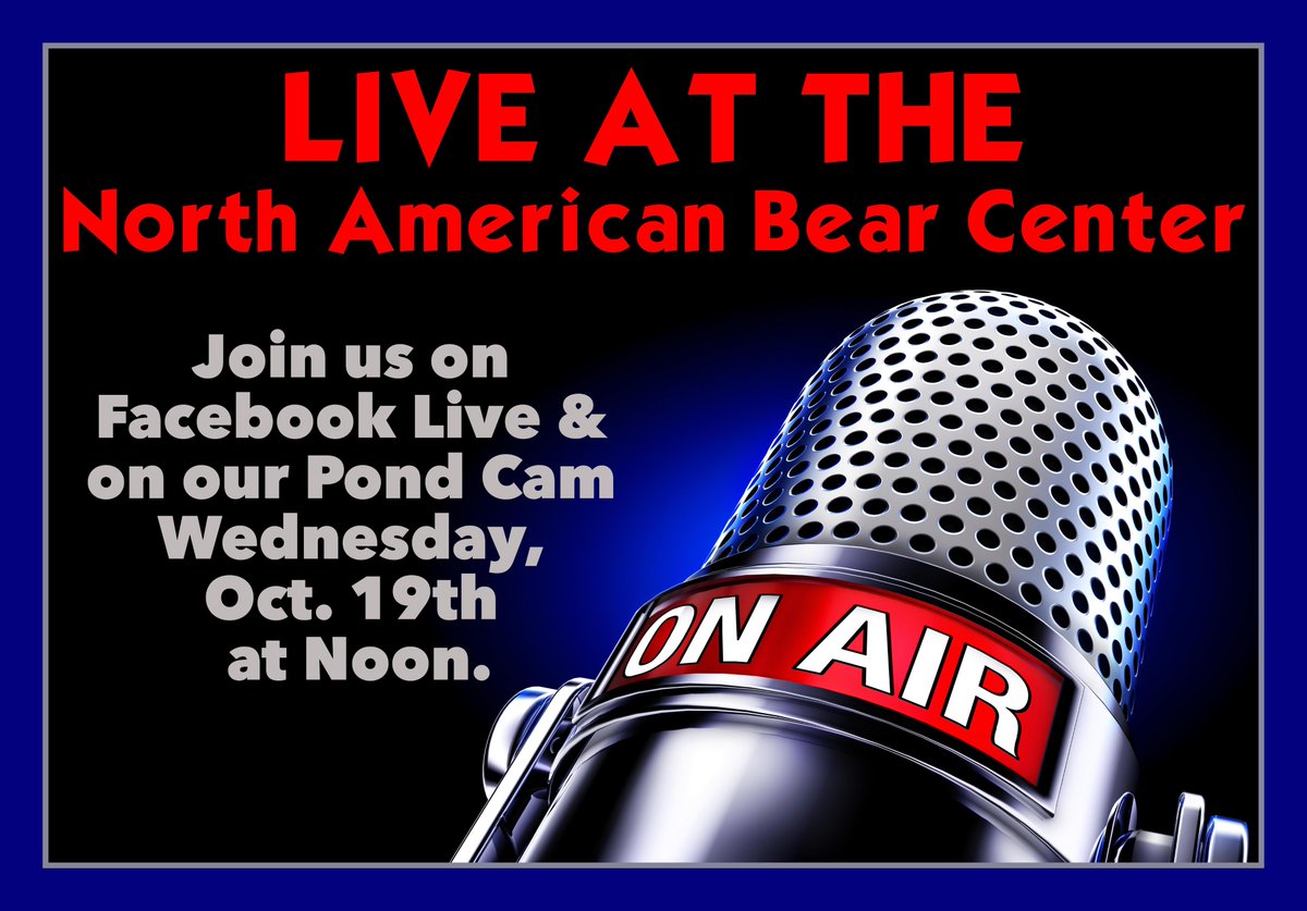 North American Bear Center tweet media
