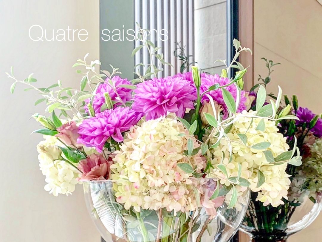 quatresaisons's tweet photo. Ｈｉ☽︎︎·̩͙

今週のWelcome Flower ❁⃘

#FlowersFromJapan 
#WelcomeFlowers
#Dahlia #QuatreSaisons 🦋 
#カトルセゾン #群馬県太田市花屋 #ThankYou https://t.co/ujblSGEOIH