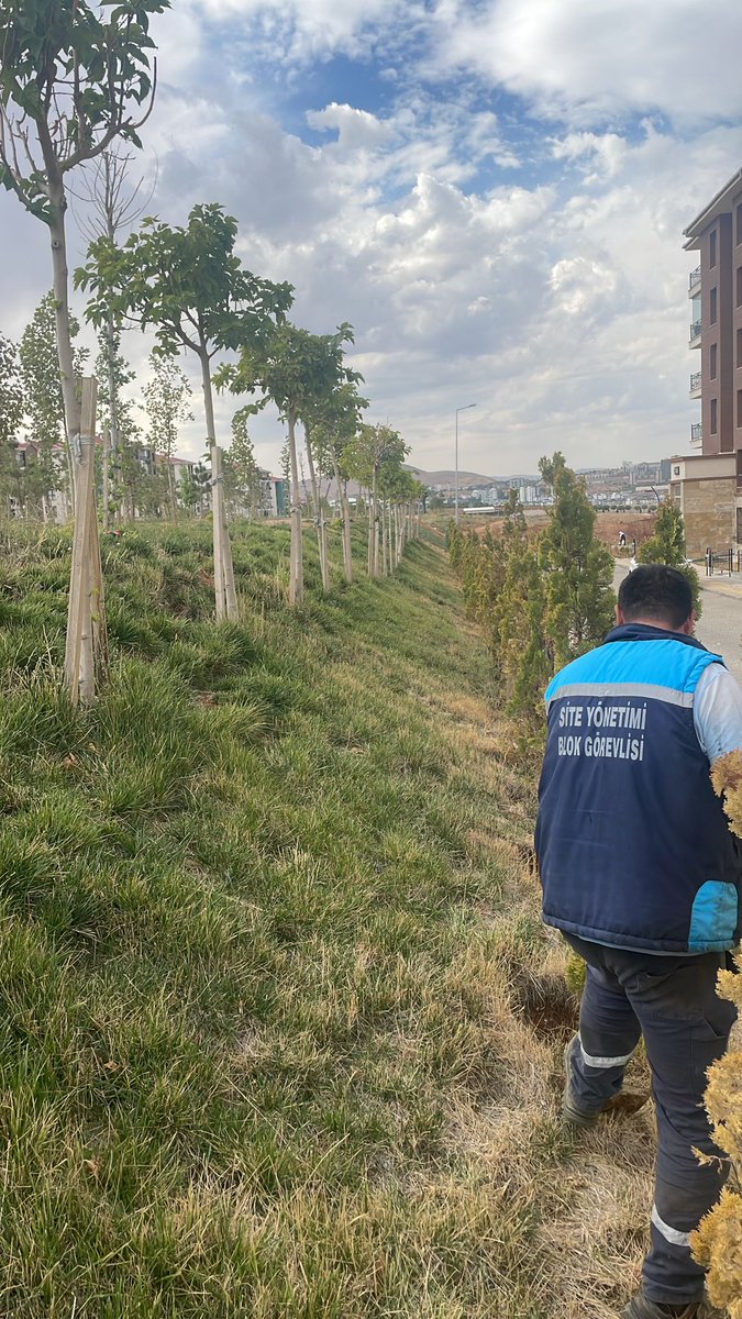 Elazığ Yemişlik 1.Etap Toplu Konutları Site Yönetimi olarak Peyzaj alanın da ağaç köklerinin açılması çalışmamız.