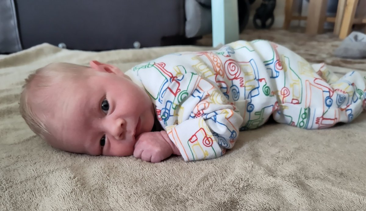 Miss Honor 🌍 tweet media