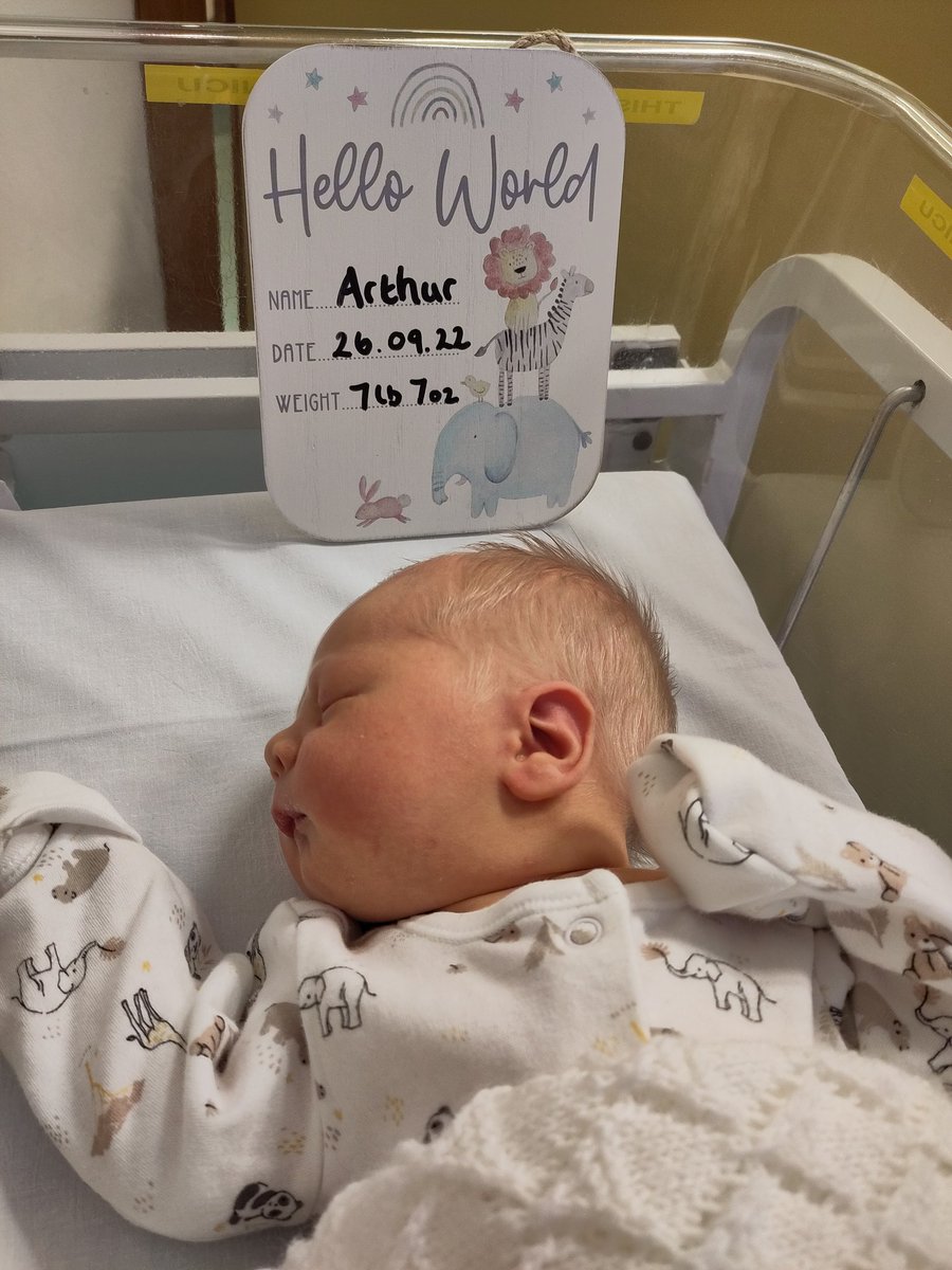 Miss Honor 🌍 tweet media