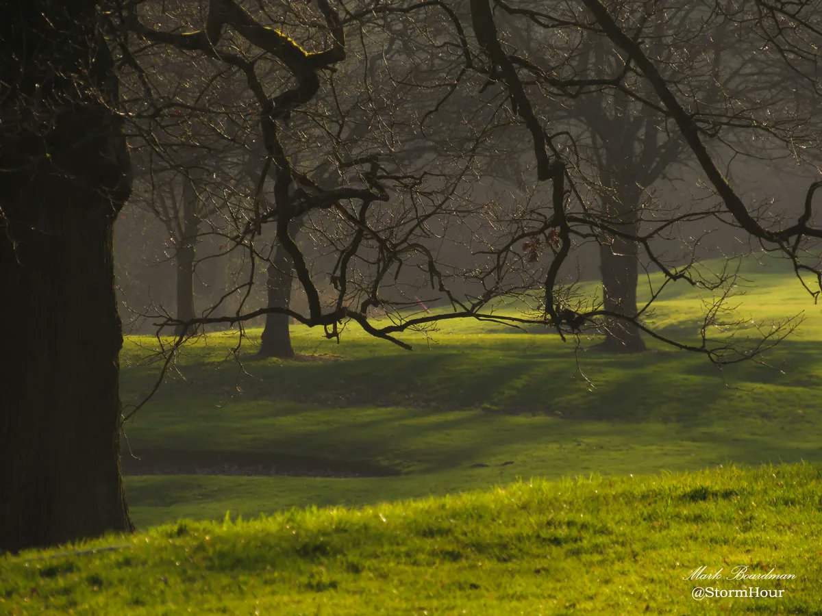 #StormHour tweet media