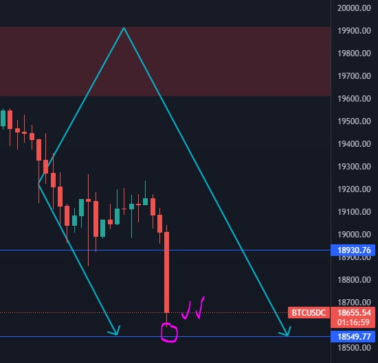 deloxelhumilde's tweet photo. Mientras unos tiran fibos otros tiramos facts.

✅ Proyecciones de #ETH y #BTC acertadas.

Más info GRATIS en: https://t.co/s2hS5ocxGY https://t.co/AGFt4TgOi3