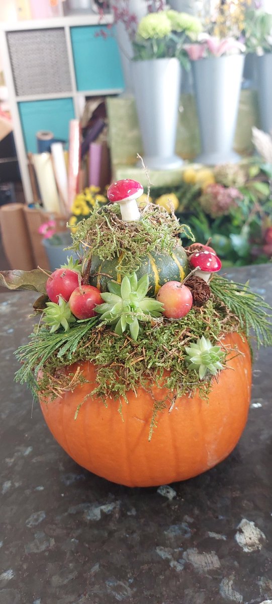 wlhaydock's tweet photo. Ah pumpkins π β₯οΈ, it's nice to be in work and not at home packing π€― #pumpkinseason #prettypumpkins #autumncreations https://t.co/J8jBHkCYln