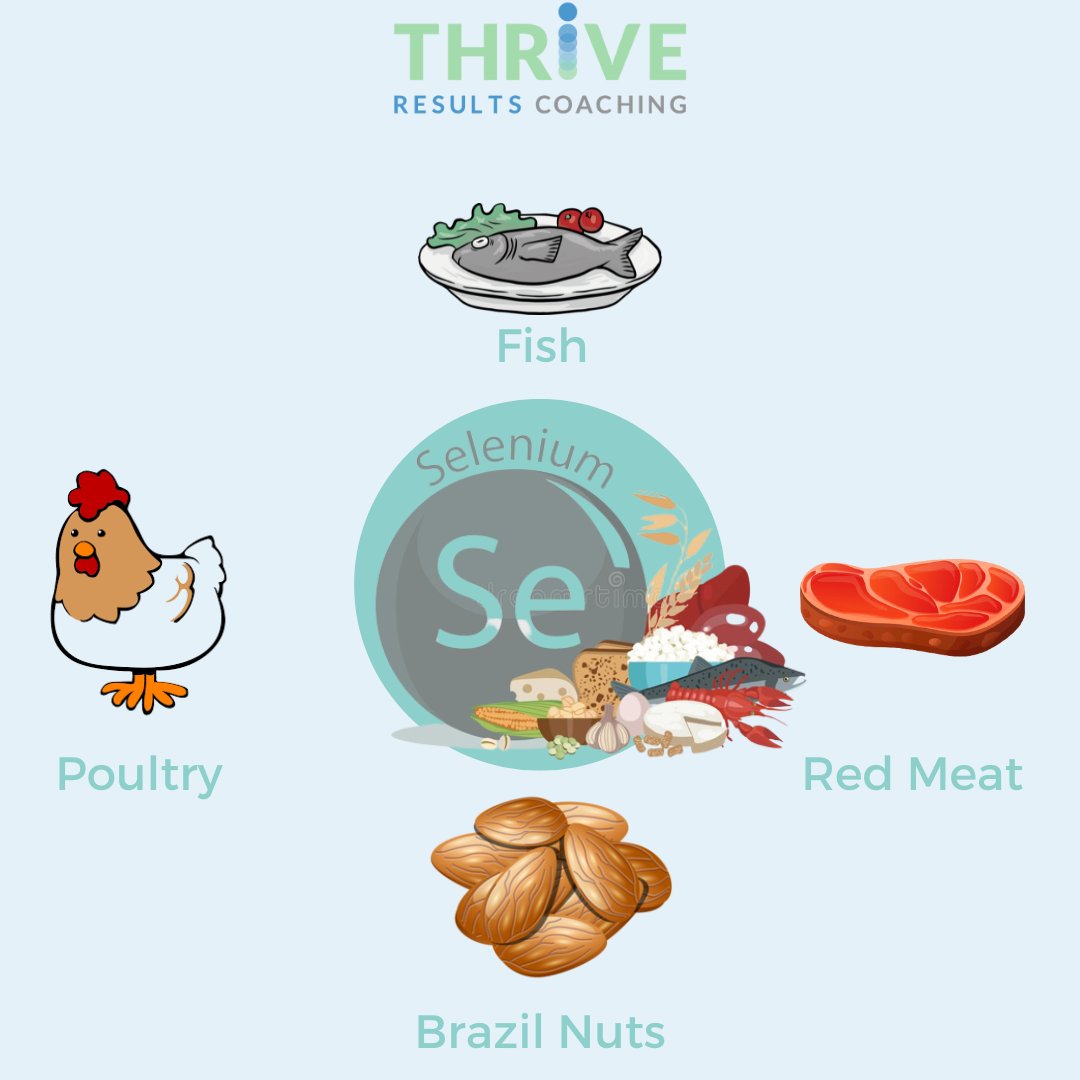 ThriveRC's tweet image. Selenium is the most required micronutrient for human beings and animals. Seafoods and meats are the highest in selenium but Brazil nuts are an excellent plant based source. Maintaining selenium levels is a prerequisite to prevent thyroid disease and preserve overall health.