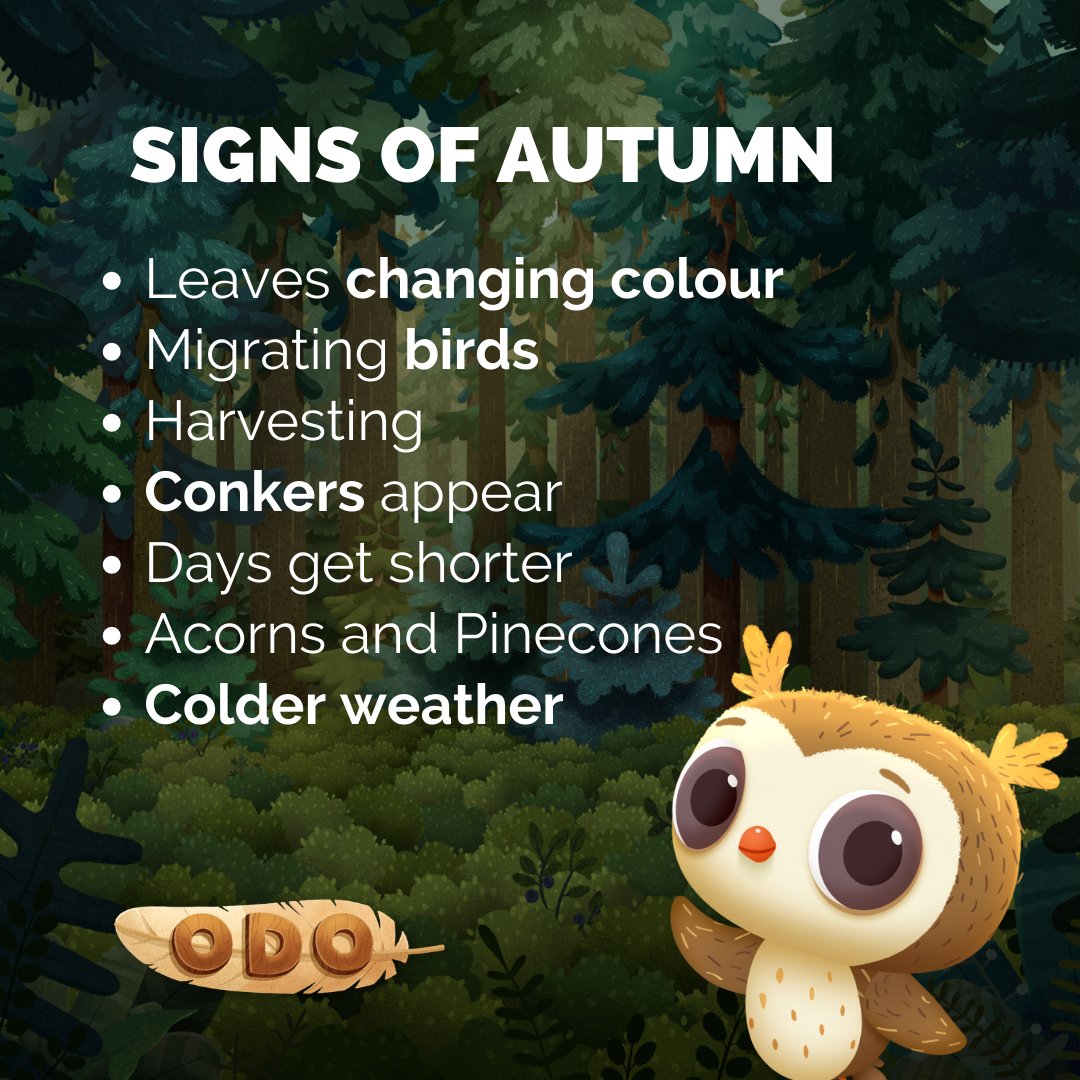 OfficialOdoTV's tweet photo. As we welcome a change in the seasons this month, we look at all the signs in nature that we can observe each year 🌼🌈🌻🌱❄️

Do you have a favourite season?

#happyhealthykids #naturekids #childhoodoutdoors https://t.co/vSCJpcyOGG