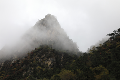 bhutanforlife's tweet photo. Kuensel writes about the impacts of climate change that are visible along the snowman race trail between Gasa and Narithang. Link to the story in the comment 👇!
 @UNDP_Bhutan @snowmanrace @WWFBhutan @tourismbhutan @NecBhutan https://t.co/2wjnpipFvJ