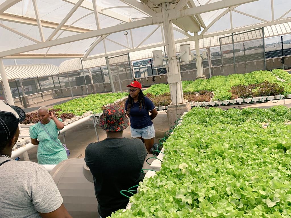 ndile_mat's tweet photo. @go2uj we always happy to share the experience with. https://t.co/hjSa56mnbG