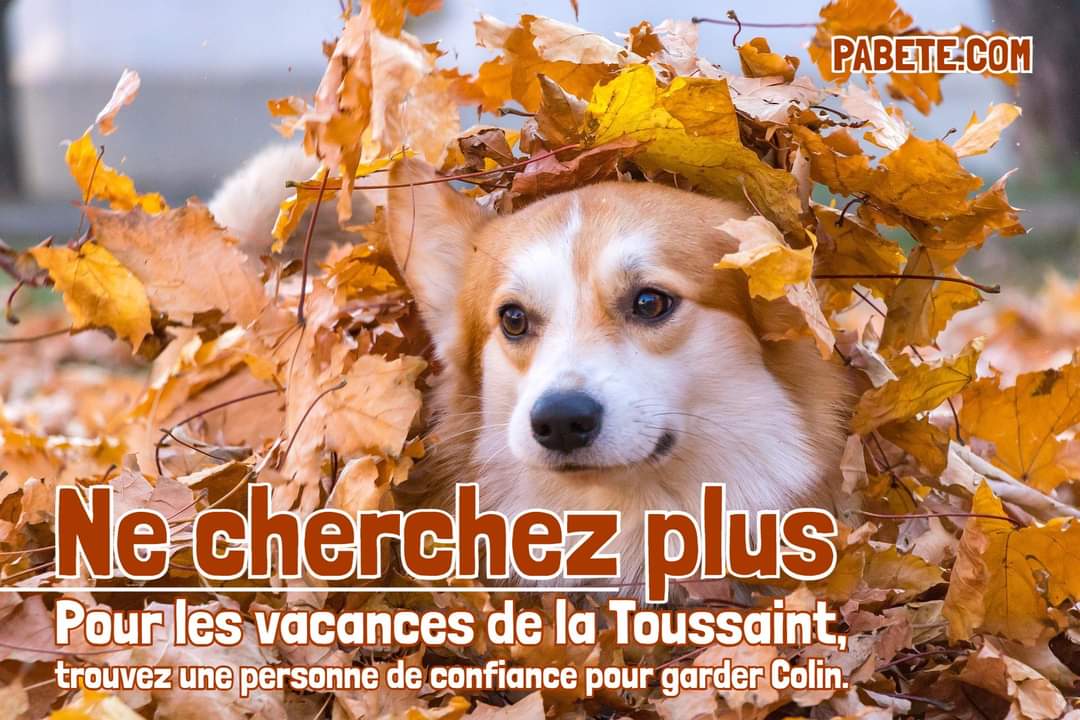 Pabete.com tweet media