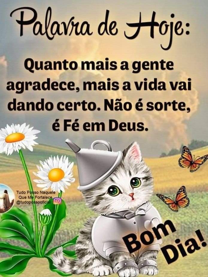 moreira1306's tweet photo. @gole_yassss Bom diaa.. 🌼 https://t.co/p0cJme6CIB