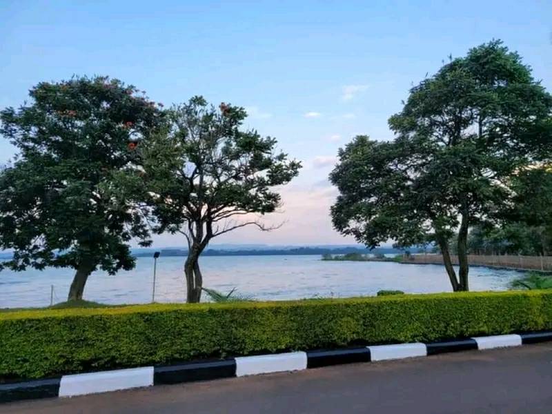 AMECOONLINE's tweet photo. Bahir Dar, October 13, 2022 (AMECO) #Bahir Dar (the capital of Amhara Regional State) is ready to welcome guests, the mayor of the city announced.
#The beautiful city has been preparing to host the #10th Tana High Level Forum for months in advance. https://t.co/u7JxKMGff6