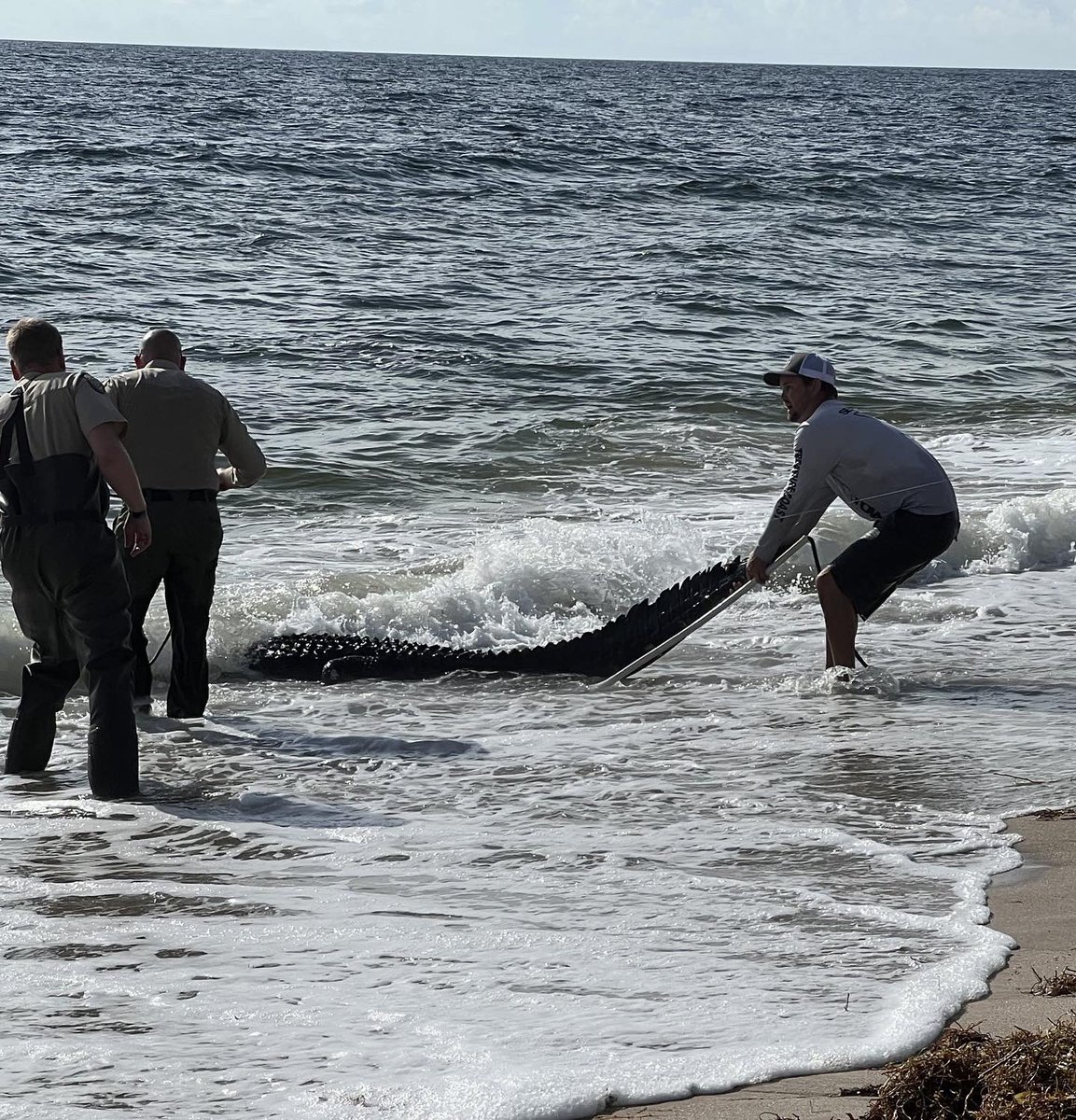 Mr. Weatherman tweet media