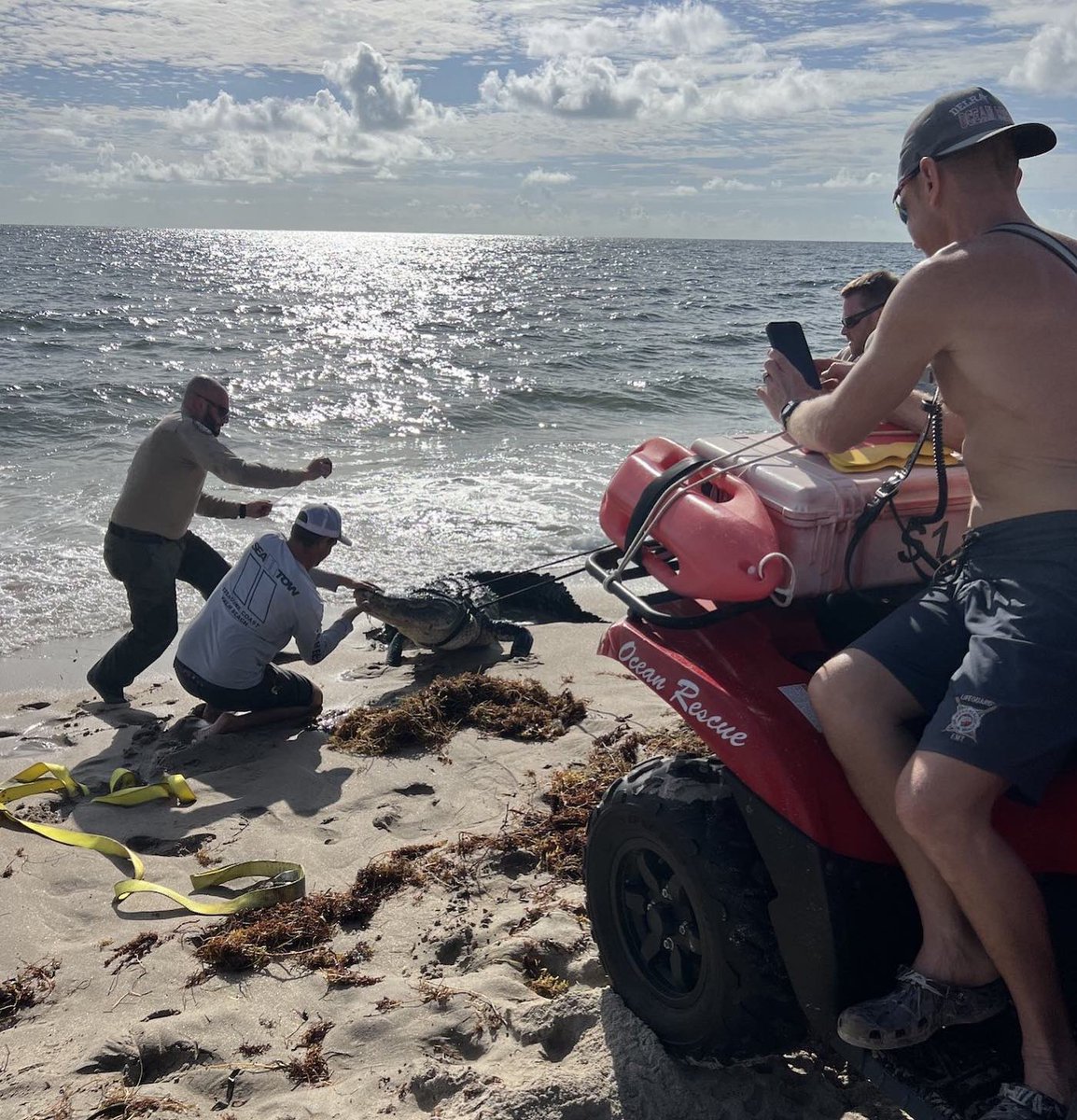 Mr. Weatherman tweet media