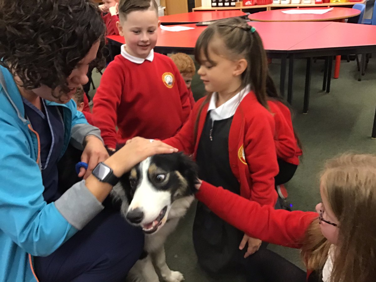 BGrovePrimary's tweet photo. What a morning we’ve had in Year 2 with our visit from the life savers at SMART Vet Clinic up the road (along with special guest Fflam. We’ve found out so much and loved the canine company.#bgp2 #iwonderifonepersoncanchangetheworld https://t.co/1mGvummrsl