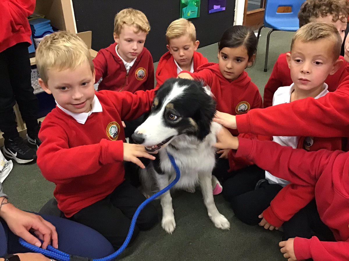 BGrovePrimary's tweet photo. What a morning we’ve had in Year 2 with our visit from the life savers at SMART Vet Clinic up the road (along with special guest Fflam. We’ve found out so much and loved the canine company.#bgp2 #iwonderifonepersoncanchangetheworld https://t.co/1mGvummrsl