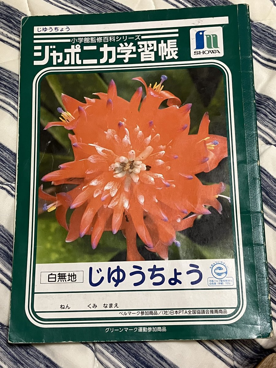 小学生の時使ってた自由帳が出てきた

割とこの頃からケモナーの素質はあったのかもしれない 