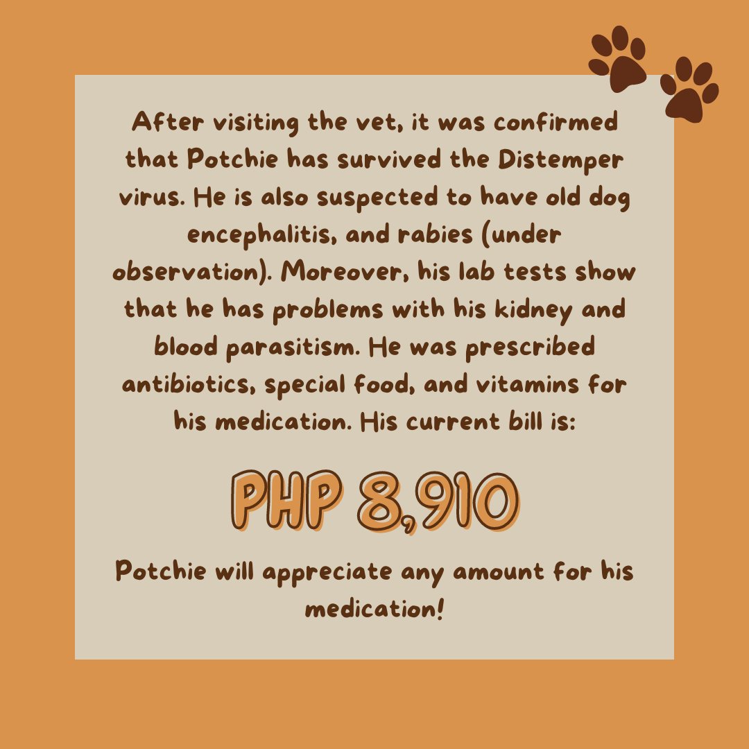 yanihatesu's tweet photo. DONATE FOR POTCHIE 🐶

Help fund Potchi's medication. Any amount will be appreciated 💟

RCBC
1087 076 129
Aliana Marie Villarosa 

GCASH (check QR)

BPI
978 380 1318
Restituto Domingo
Thank you! https://t.co/Xy9BTKDk0t