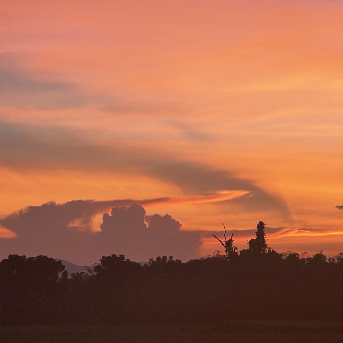 sfkkfs_'s tweet image. พอเริ่มเข้าหน้าหนาว ท้องฟ้าก็เริ่มสวย 〰️🎄🎅🏻