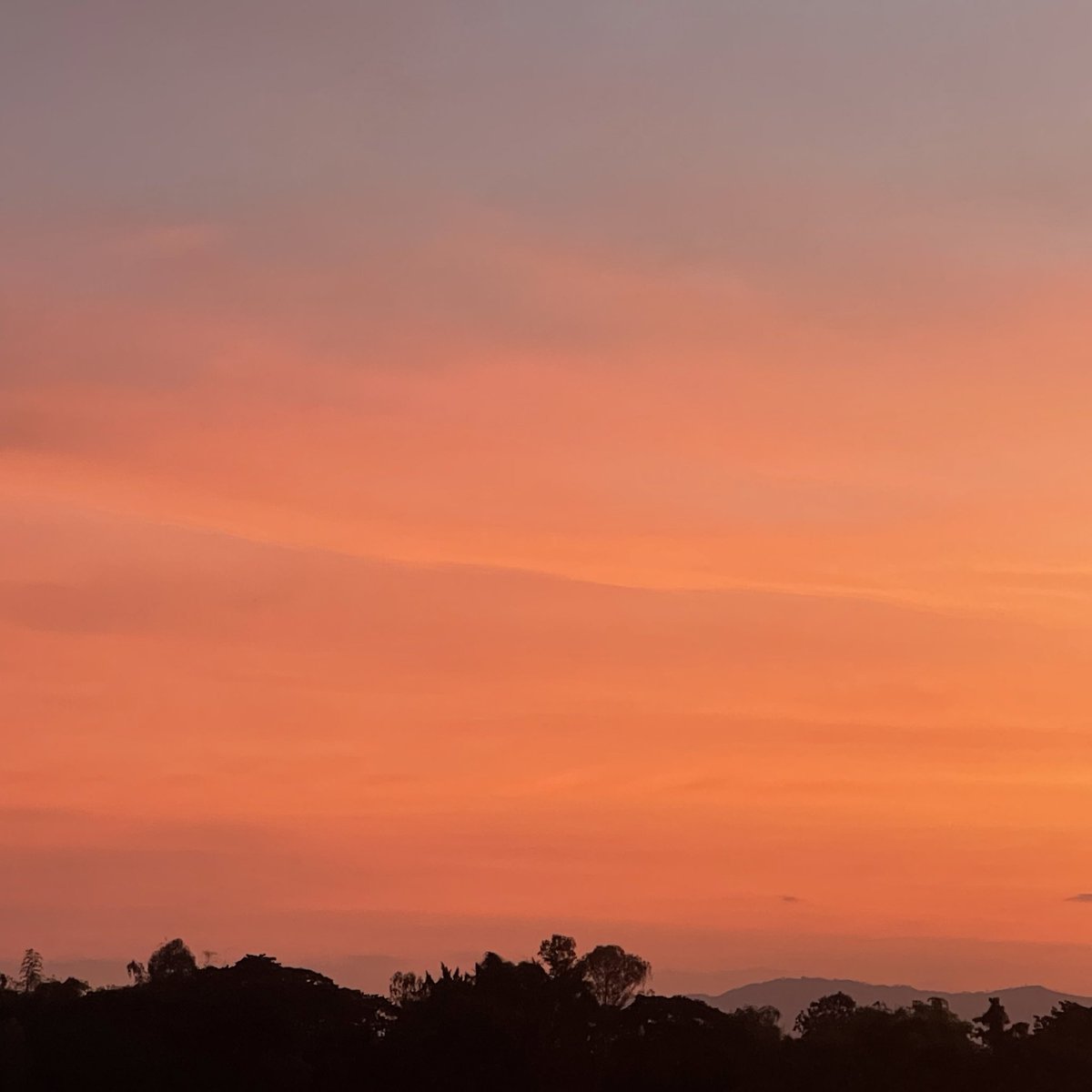 sfkkfs_'s tweet image. พอเริ่มเข้าหน้าหนาว ท้องฟ้าก็เริ่มสวย 〰️🎄🎅🏻