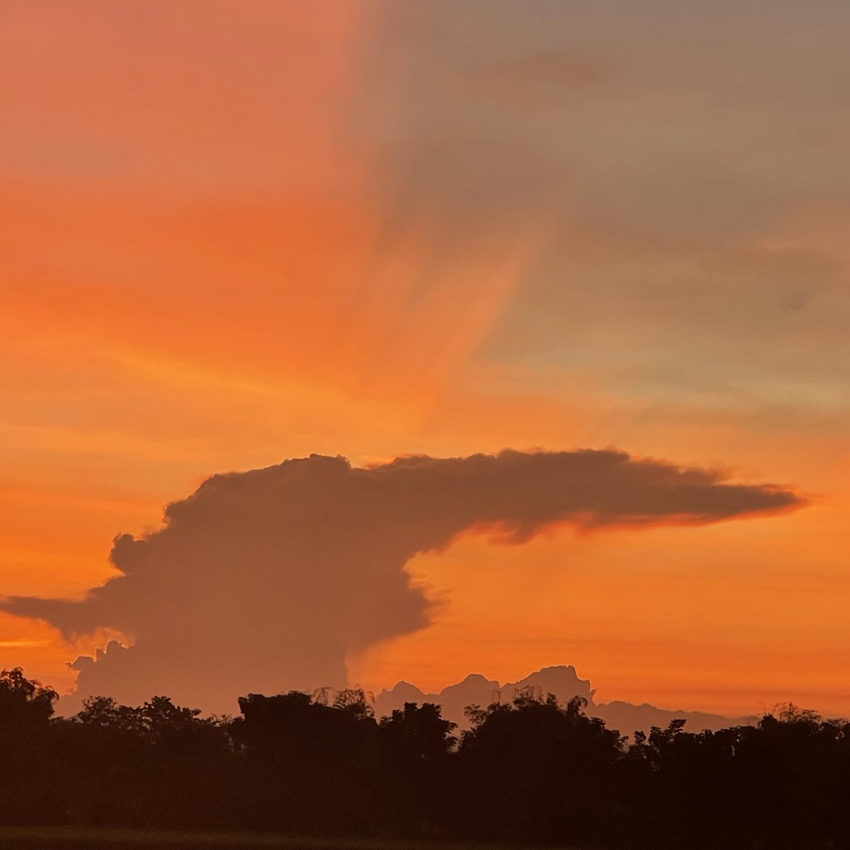 sfkkfs_'s tweet image. พอเริ่มเข้าหน้าหนาว ท้องฟ้าก็เริ่มสวย 〰️🎄🎅🏻