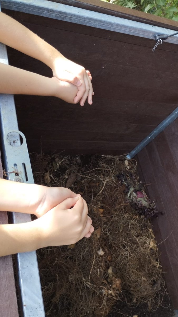 CEIPNEJAPA's tweet image. Los chicos y chicas del #CEIPCiudaddeNejapa recogiendo lombrices para #compostar en el #AulaMedioambiental de #LasVaquerizas.
#Ecoescuelas #TeachersforFuture #EscuelaPública