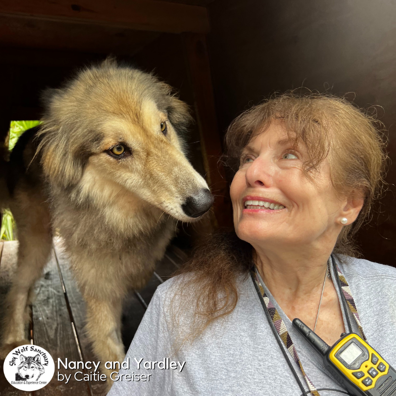 ShyWolfSanct's tweet photo. βAll of them (the animals) are teachers here, every last one of them are teachers. If people just listen.β Nancy Smith, Shy Wolf Sanctuary Founder https://t.co/635GURIjVd
#ShyWolfSanctuary #SWS #SWFL #Florida #Naples #NancySmith https://t.co/pIekWqGcZC
