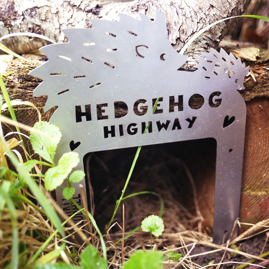 Make a hedgehog highway! Allow 🦔 to roam freely through your garden - a hole about the size of a CD is large enough for a 🦔 but not most other mammals. We have wonderful signs at seedball.co.uk #HedgehogHelp #Hedgehogs #Highway