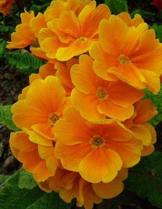 cesse589's tweet photo. Jeremiah 29:11 
For I know the thoughts that I think toward you, says the Lord, thoughts of peace and not of evil, to give you a future and a hope. https://t.co/nWNoU3glfh