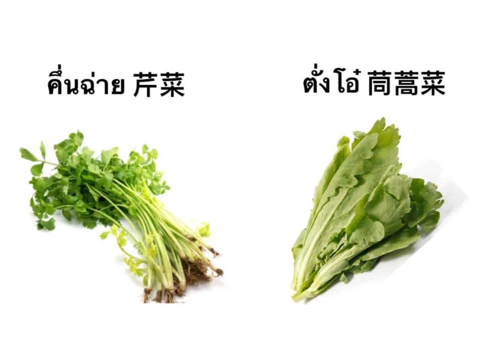 ในการใช้ภาษาผิดเรารับได้เกือบหมดนะ ยกเว้นเคสนี้!!!

นี่คือชอบกิน #ตั่งโอ๋ มากๆ แต่เกลียด #คึ่นฉ่าย ขั้นสุด ละเหมือนคนไทยเรียกตั่งโอ๋ว่าคึ่นช่ายเยอะมาก แง…รสกับกลิ่นมันไม่ใช่

โตในแวดล้อมคนไทยเชื้อจีน เลยพึ่งมารู้ตอนทำงาน มีคนเรียกคึ่นฉ่ายว่าตั่งโอ๋😭

Culture shock มาก