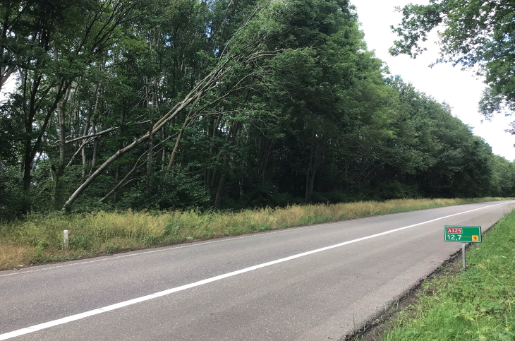 RWS_ON's tweet photo. We verwijderen zieke en dode bomen die een gevaar vormen voor de verkeersveiligheid op de #A325.  Hierdoor is de verbindingsweg Nijmegen - Bemmel in knooppunt Ressen dicht van 17 t/m 21 oktober en 24 t/m 28 oktober tussen 09.00 en 15.00 uur. Meer info? 👉 https://t.co/qDnxxxEQYi https://t.co/oK2GPxQmp0