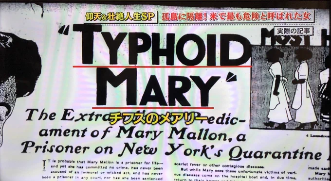 デアデビル効果かテレビでタイフォイド・メアリーやってる 