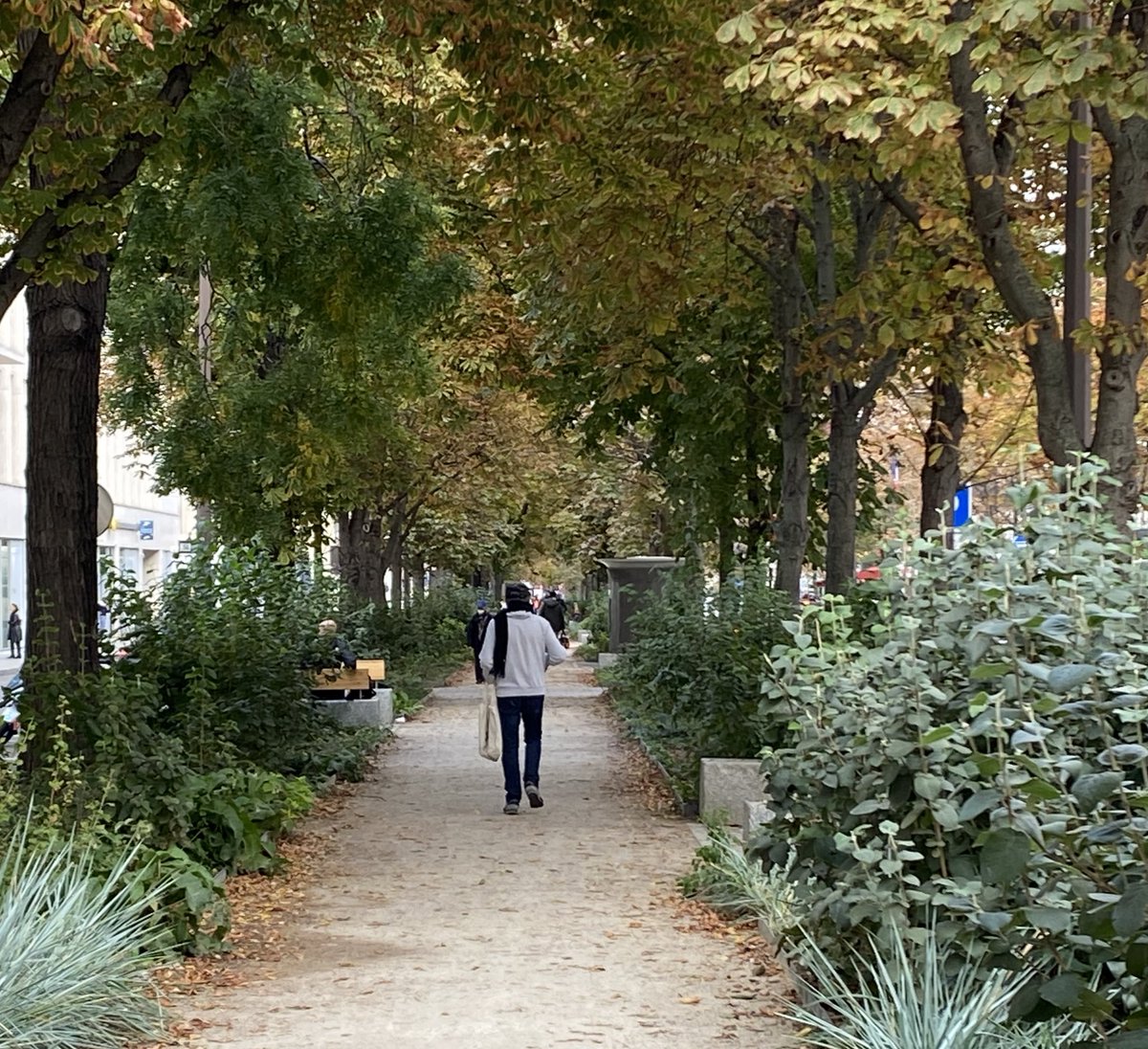 JSadikKhan's tweet photo. To see the future of cities, look to the streets of Paris,
City of bikes
School streets 
Green streets
People streets.
Mayor @Anne_Hidalgo &amp; Deputy Mayors @C_Najdovski and @David_Belliard are restoring the city by restoring people to their rightful plâce. https://t.co/KBQAC9UGyj